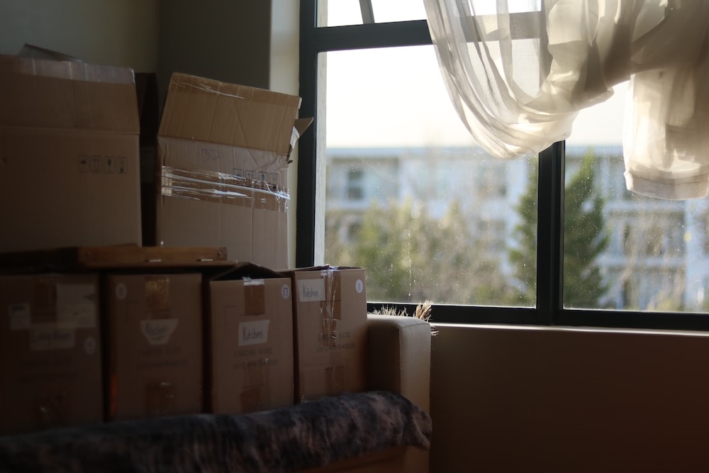 Packing Tips for Moving: Pack Like a Pro